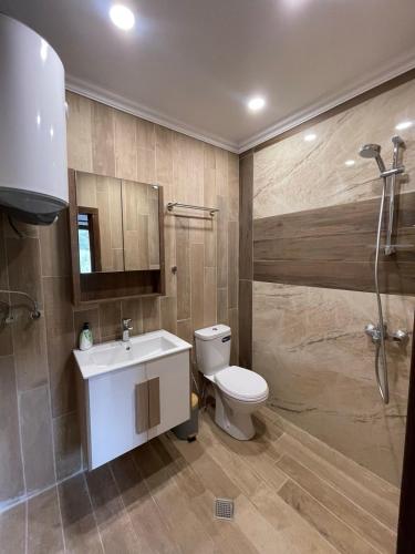 a bathroom with a toilet and a sink and a shower at Къща за гости ДворЪ in Skandaloto