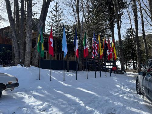 a row of flags on poles in the snow at Oceana Suites Hotel Volkano in Malalcahuello