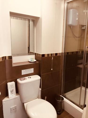 a bathroom with a toilet and a shower at Severn Valley Guest House in Bewdley