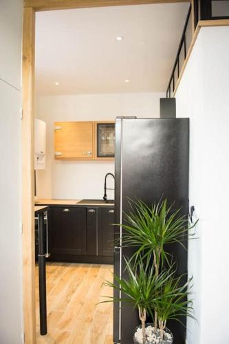 une cuisine avec un réfrigérateur noir et deux plantes en pot dans l'établissement La petite longère La mercerie, à Bourges