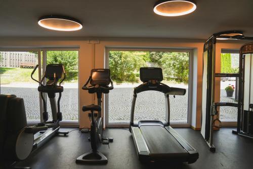 Fitness centrum a/nebo fitness zařízení v ubytování Residence Montani