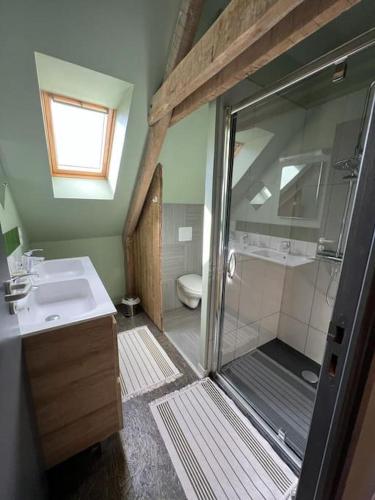 une salle de bain avec une douche, un lavabo et des toilettes dans l'établissement Grand gîte sauna et bain bouillonnant 15 pers, à Cavron-Saint-Martin