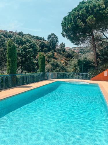 une piscine d'eau bleue et un arbre dans l'établissement La Terrasse de l'Esterel, à Mandelieu-la-Napoule