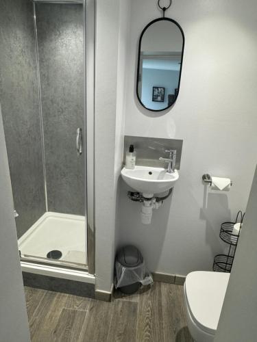 a bathroom with a shower and a sink and a mirror at Severn Valley Guest House in Bewdley