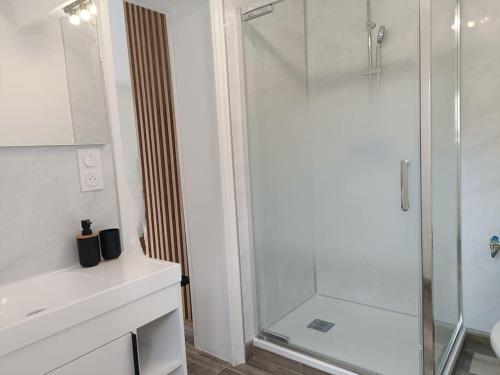 a bathroom with a shower with a glass door at La passerelle ,Montreuil ,Le Mans in Neuville-sur-Sarthe