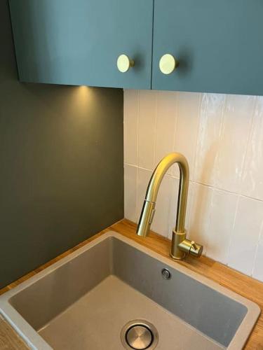 - un évier dans une cuisine avec un robinet dans l'établissement Le cosy de la cité Foulc, à Nîmes