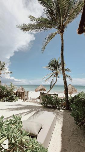 a beach with palm trees and a beach with a bench at La Conchita Tulum in Tulum
