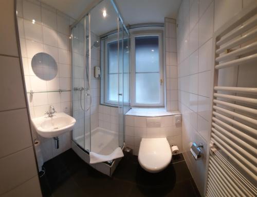 a bathroom with a toilet and a sink and a window at B&B Langenberg in Langnau am Albis