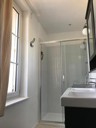 a bathroom with a shower and a sink at Chambre du Haras Cour Lozey in Sainte-Marguerite-des-Loges