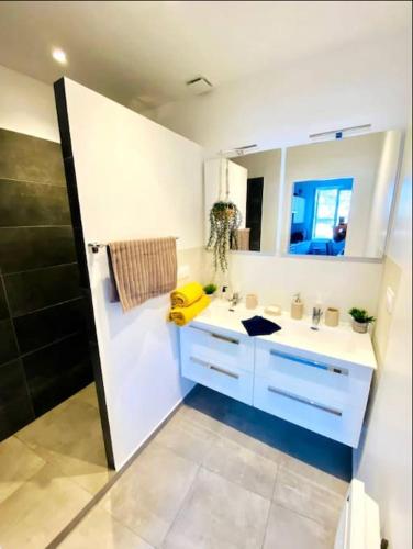 une salle de bain blanche avec un lavabo et un miroir dans l'établissement Le Tarasconnais Tarascon Arles Nîmes, à Tarascon