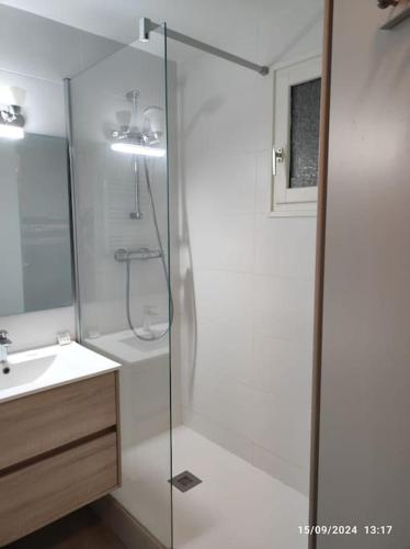 a bathroom with a shower and a sink at Studio cabine tout équipé in Le Lavandou