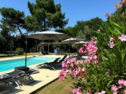 - une piscine avec des chaises, des parasols et des fleurs roses dans l'établissement Les Terrasses des Mimosas, à Caumont-sur-Garonne