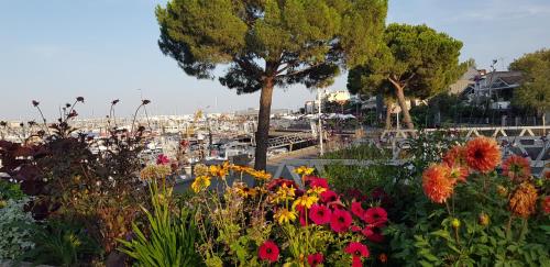 a garden of flowers with a harbor in the background at ARCACHON PETIT PORT - T3 VUE BASSIN in Arcachon