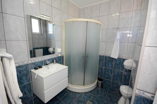 a bathroom with a shower and a sink and a toilet at Hotel Andre´s in Craiova