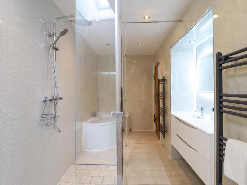 a bathroom with a shower and a toilet and a sink at Bwthyn Y Bugail Shepherd's Cottage in Oswestry