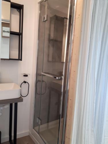 une douche en verre dans une salle de bain avec un lavabo dans l'établissement Aux Jardins d'Argiles, à Buhl