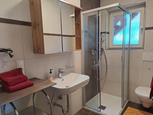 a bathroom with a sink and a shower at Ferienwohnungen Rupertihaus in Flachau