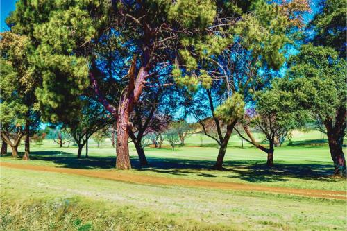 a group of trees in a park with a field at Glendower View Guest House in Johannesburg