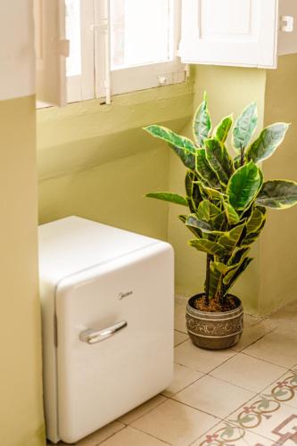 a small white refrigerator next to a potted plant at Senglea Jungle Palazzo in Senglea