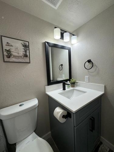 Un baño con inodoro, lavabo y espejo. en 4 STATE FAIR l DT Dallas l FIFA READY l Staycation 1Bd1Ba, en Dallas