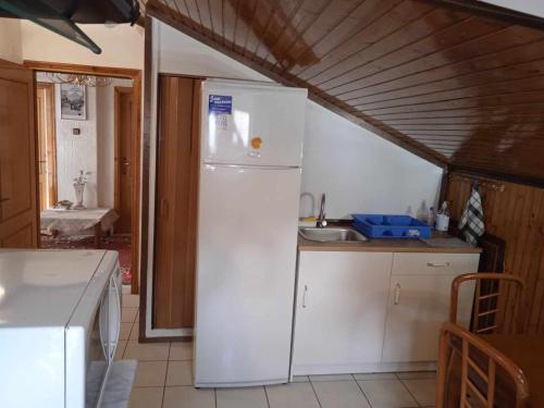 a kitchen with a white refrigerator and a sink at Kostis Hause in Kastrákion