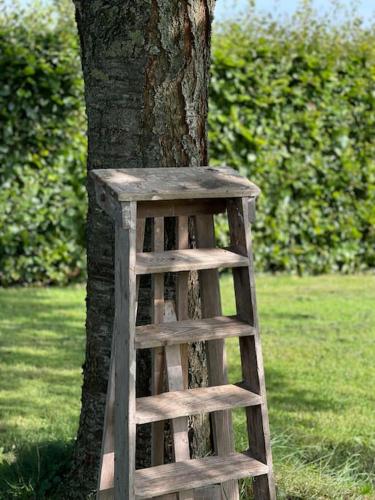 a wooden ladder sitting next to a tree at Holiday home in Arriën