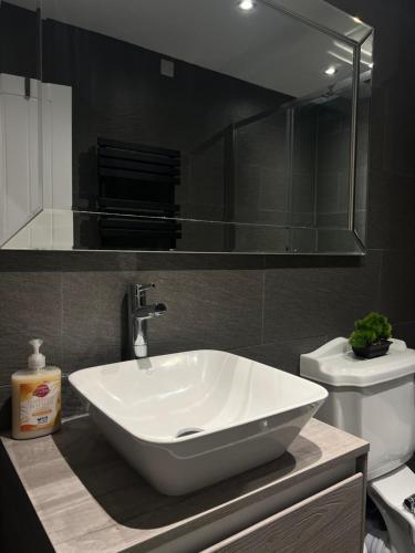 a bathroom with a white sink and a toilet at The Snug - Town Centre Apartment in Bishops Stortford