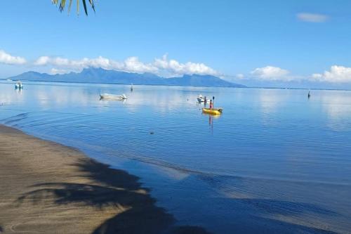 a group of people on a paddle board in the water at Tehei Beach House Wifi AC Beachfront Sunset in Punaauia