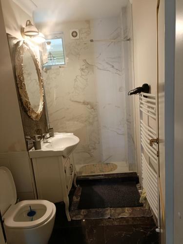 a bathroom with a toilet and a sink and a shower at Residence 3 dormitoare in Târgu Neamț