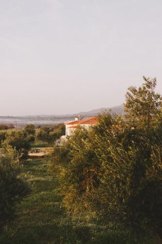 Φυσικό τοπίο κοντά σε αυτή η παραθεριστική κατοικία