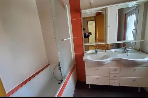 a bathroom with a sink and a mirror at Les Roses Trémières in Saujon