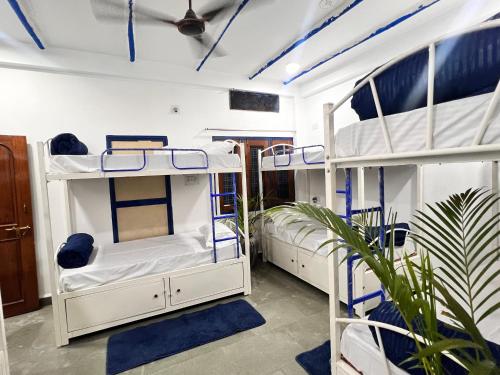 Φωτογραφία από το άλμπουμ του Pause σε Ujjain