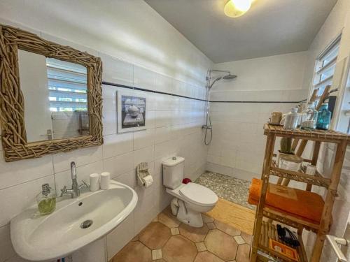 a bathroom with a sink and a toilet and a mirror at Villa Les Nereides in Le Moule