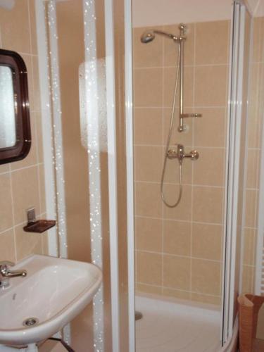 a bathroom with a shower and a sink and a toilet at Apartmán Ramzová B14 in Ramzová