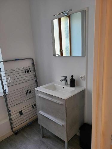 une salle de bain avec un lavabo et un miroir dans l'établissement Le Valentin Charmant 2 pièces, à Belfort