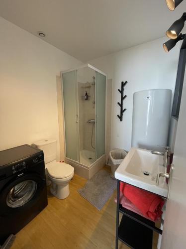 La salle de bains est pourvue de toilettes, d'un lavabo et d'un lave-linge. dans l'établissement Modern Art Vierzon Centre ville, à Vierzon