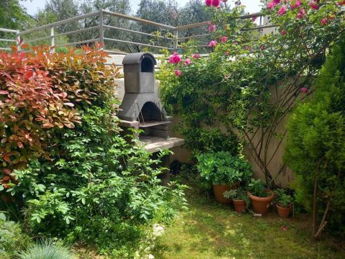 Сад в "Sea breeze and olives" apartment