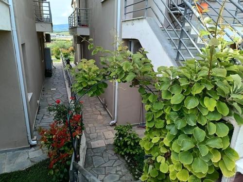 Сад в "Sea breeze and olives" apartment
