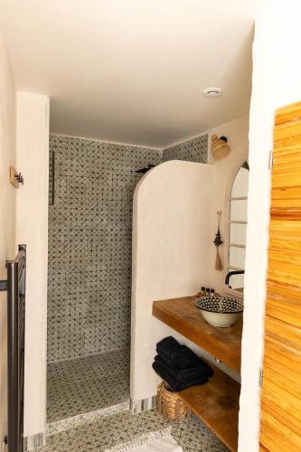 a bathroom with a shower and a sink at La source de l'abbaye in Tonnerre
