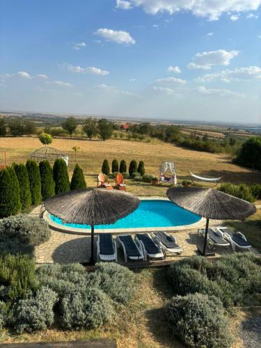an outdoor swimming pool with umbrellas and chairs at House "Dare to dream" in Vrdnik