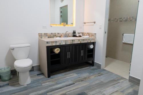 a bathroom with a sink and a toilet at Hotel Boutique Casa Del Rio in Fortuna