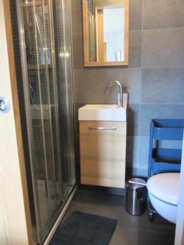 une salle de bain avec une douche, un lavabo et des toilettes dans l'établissement Résidence Olympiades - Olympiades A11 MAE-9051, à Gourville