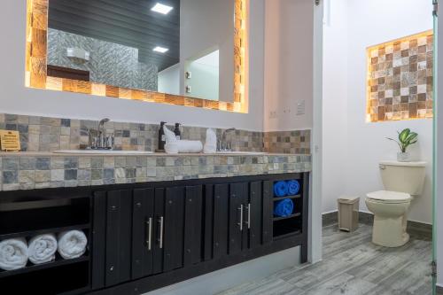 a bathroom with a sink and a toilet at Hotel Boutique Casa Del Rio in Fortuna