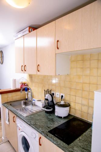 une cuisine avec un évier et une machine à laver dans l'établissement L'Appart, au Plessis-Robinson