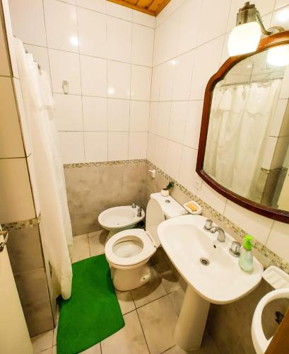 a bathroom with a toilet and a sink and a mirror at Alojamiento Villa Elisa in Villa Elisa