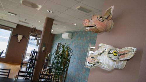 two animal heads on the wall of a restaurant at Sleeping barrel lodge Smaken av Ryfylke Event AS, drives ikke som hotell in Hjelmeland