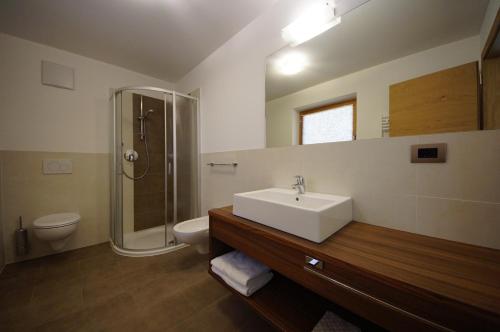un bagno con lavandino, doccia e WC di Costadedoi a San Cassiano