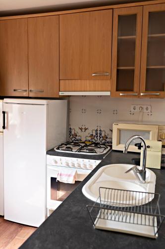 a kitchen with a sink and a white refrigerator at Casa Rural Gite El Tossal in Collfred