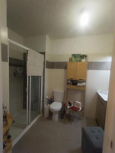 une salle de bain avec une douche, des toilettes et un lavabo dans l'établissement Charmant T2 proche centre ville, à Narbonne