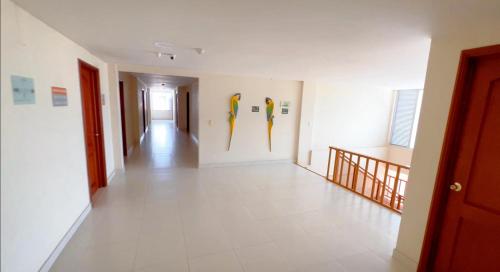 a hallway with paintings of toothbrushes on the wall at Hotel Anaconda in Leticia